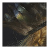 detail2