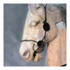 detail1